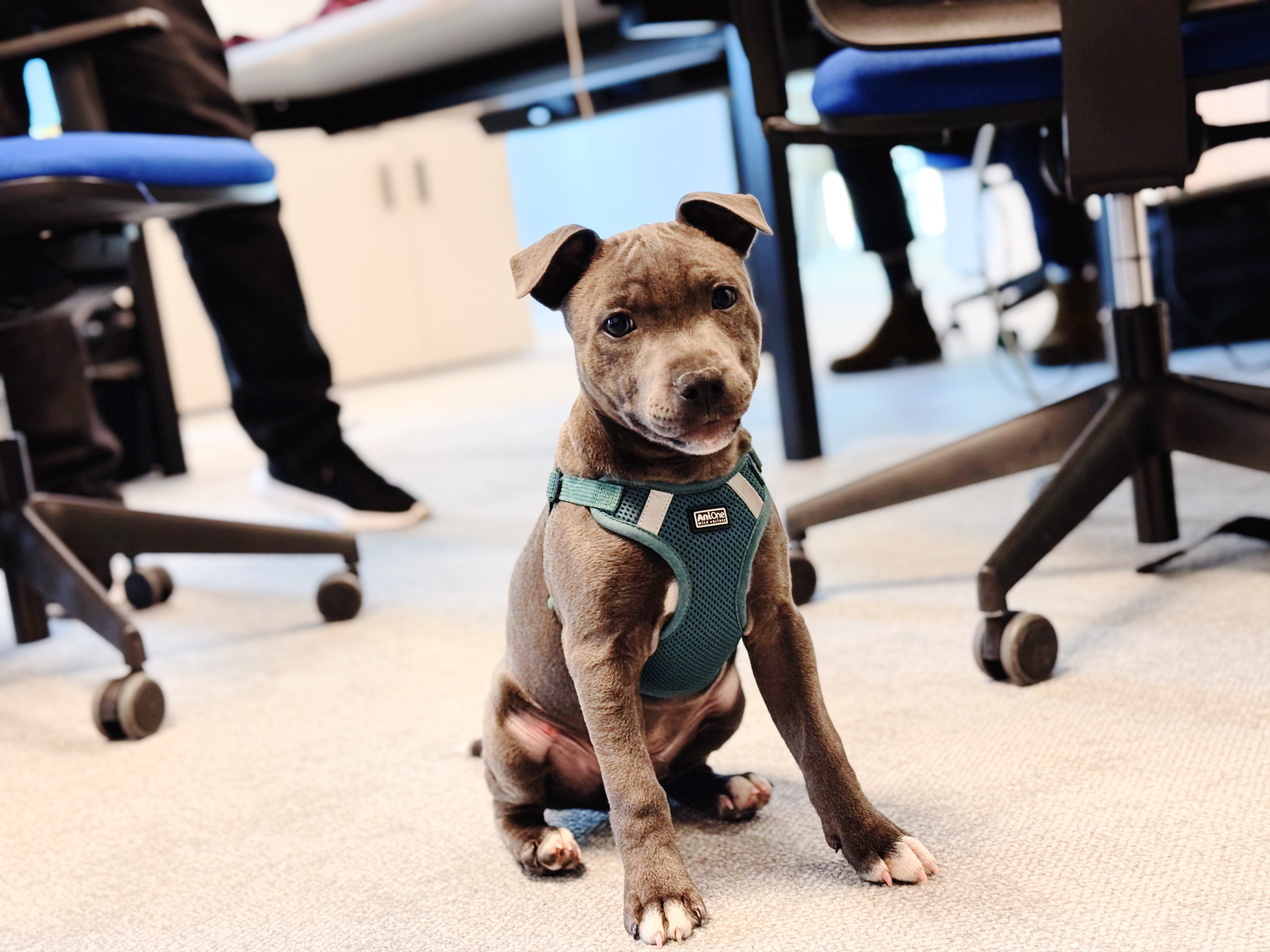 Des bureaux bien gardés
